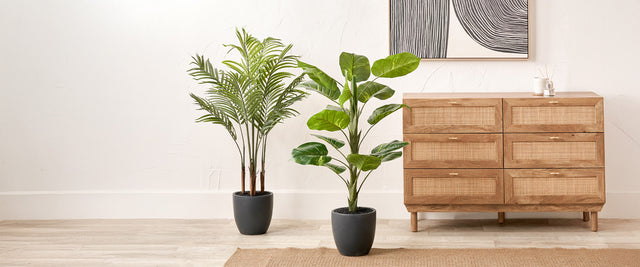 Faux Plants, Trees & Stems