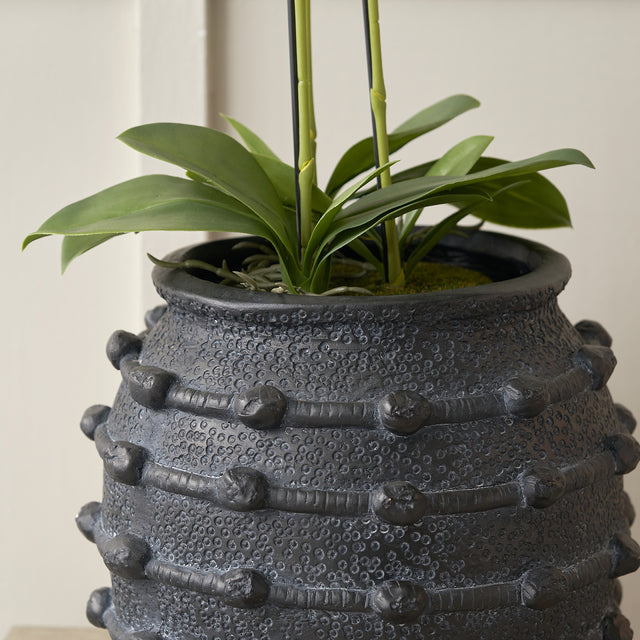 Harlie Black Bobble Fibrestone Planter