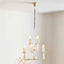 Cherie Silver Leaf Multi Arm Chandelier Pendant